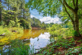 1030 Pinehurst Ln Fort Mill, SC 29707