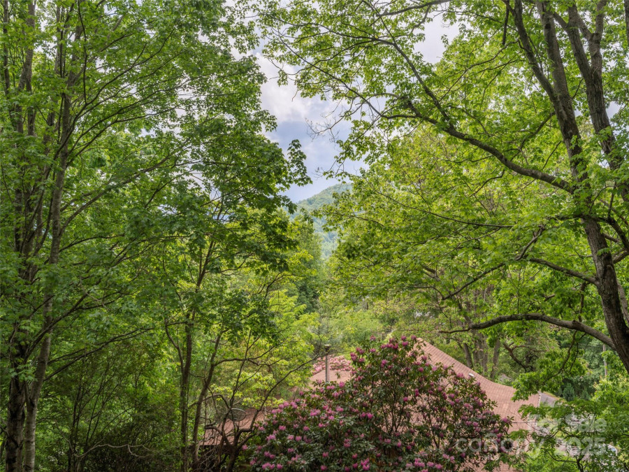 318 Sandsridge Way Waynesville, NC 28785