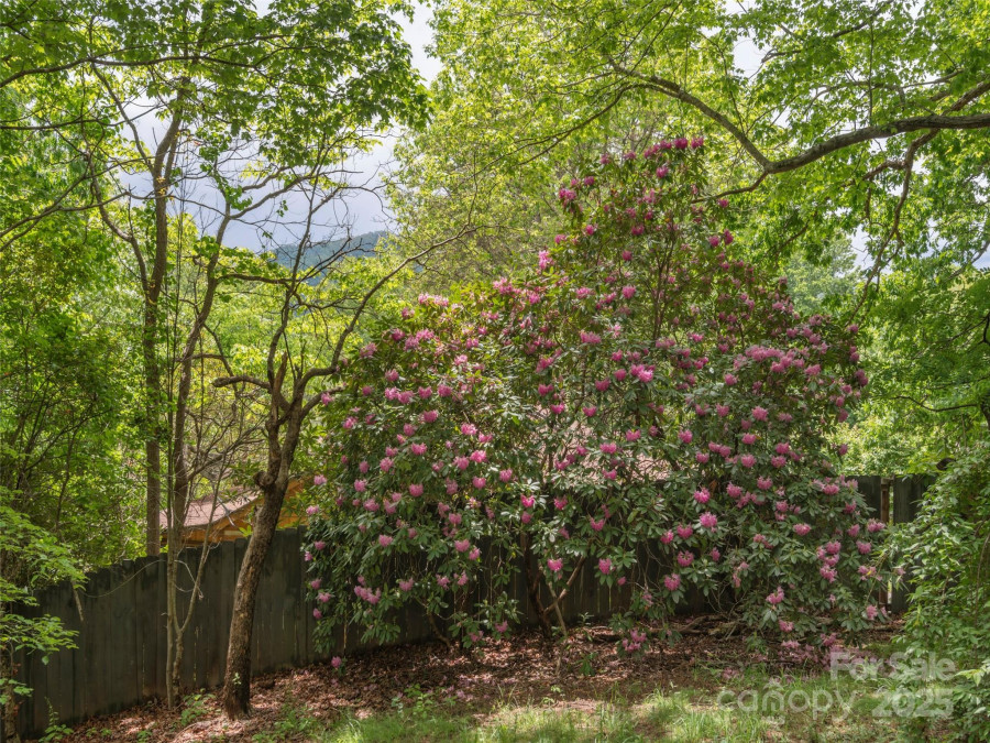 318 Sandsridge Way Waynesville, NC 28785