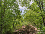 318 Sandsridge Way Waynesville, NC 28785