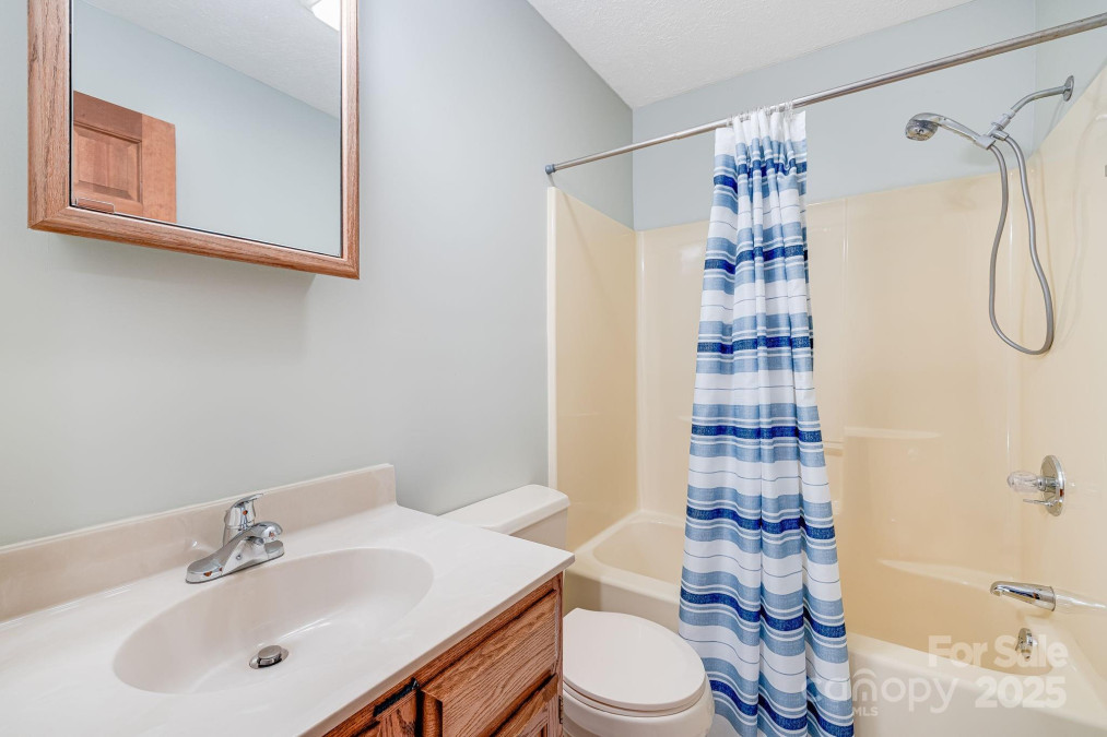 41 Morgan Branch Estate Candler, NC 28715