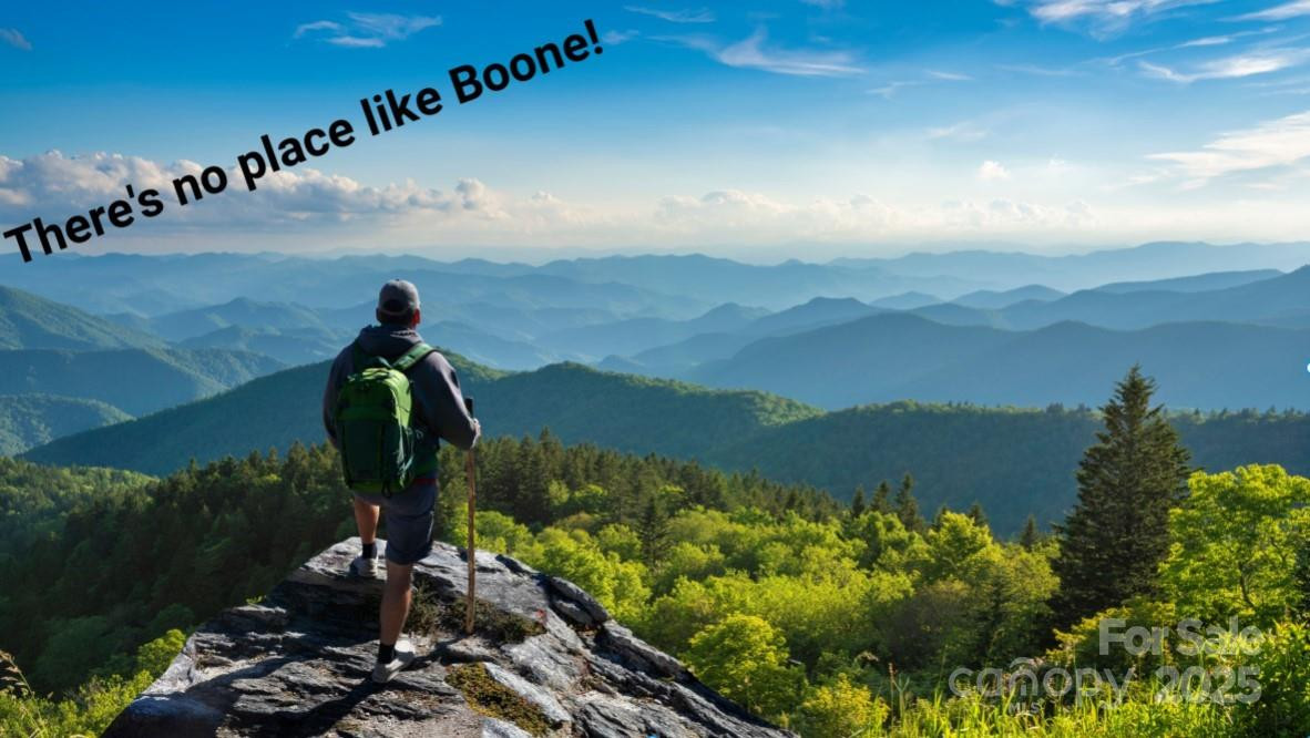 751 Millers Pond Ln Boone, NC 28607