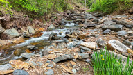 751 Millers Pond Ln Boone, NC 28607