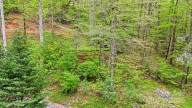 751 Millers Pond Ln Boone, NC 28607