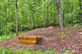 174 Sassafras Hill Dr Rutherfordton, NC 28139