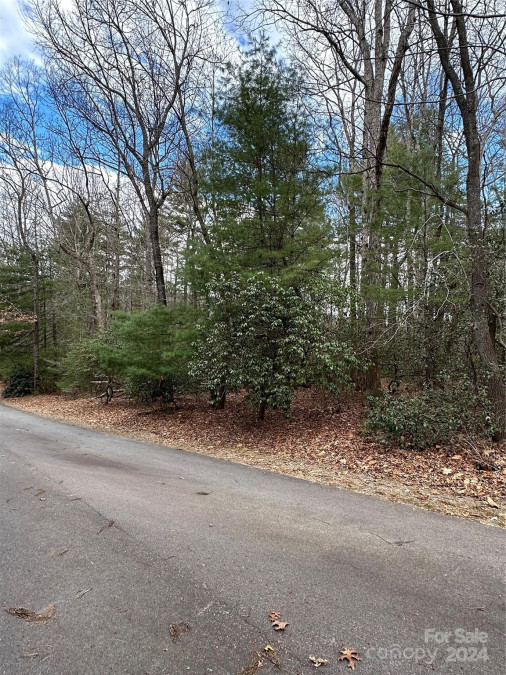 Lot 3 Old Haywood Rd Mills River, NC 28759