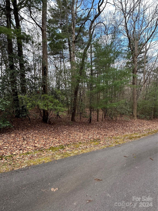Lot 7 Old Haywood Rd Mills River, NC 28759