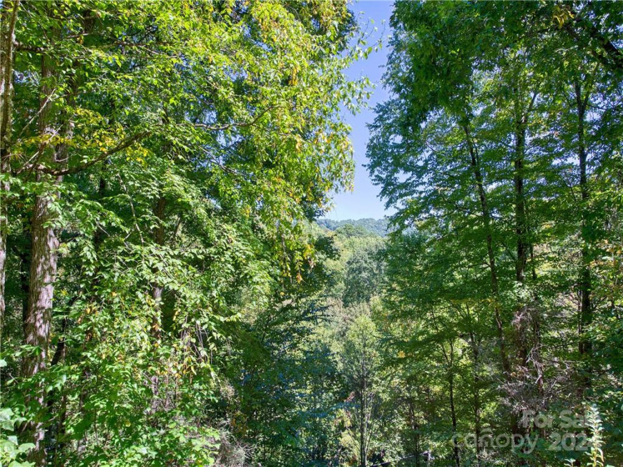 860 Creekside Dr Maggie Valley, NC 28751