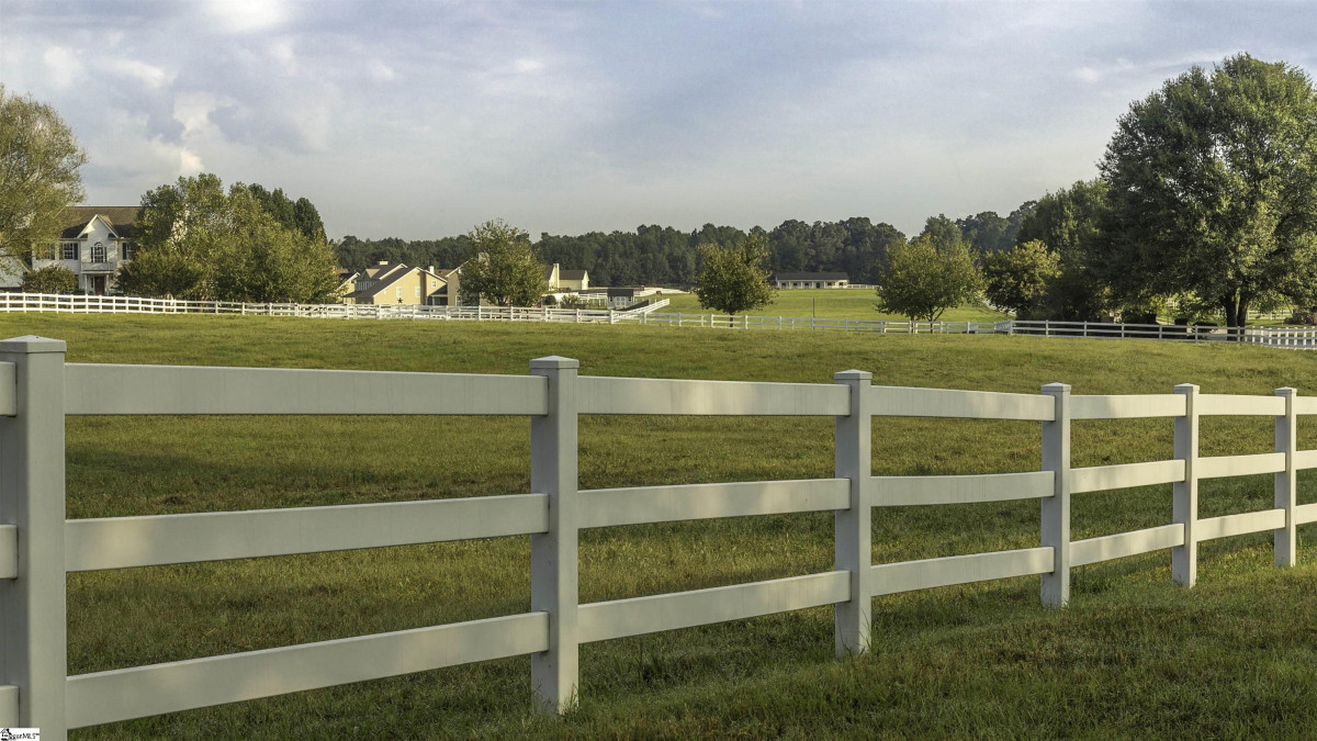 104 Lipizzaner  Pelzer, SC 29669