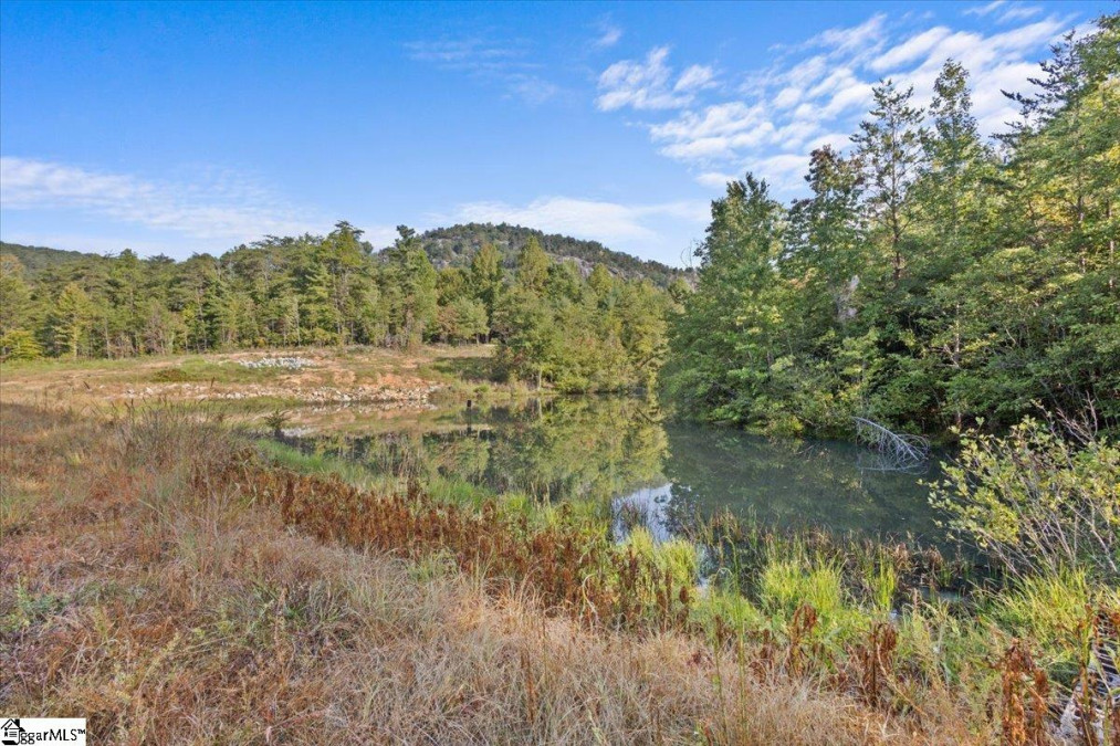 434 Big Rock Lake Pickens, SC 29671