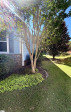 204 Lord Byron Travelers Rest, SC 29690