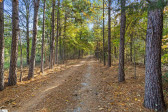 509 Horseshoe  Honea Path, SC 29654