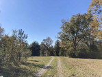 405 Horse Farm Iva, SC 29655