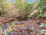 1100 Mile Creek Pickens, SC 29671