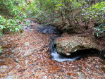 1100 Mile Creek Pickens, SC 29671