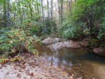 1100 Mile Creek Pickens, SC 29671