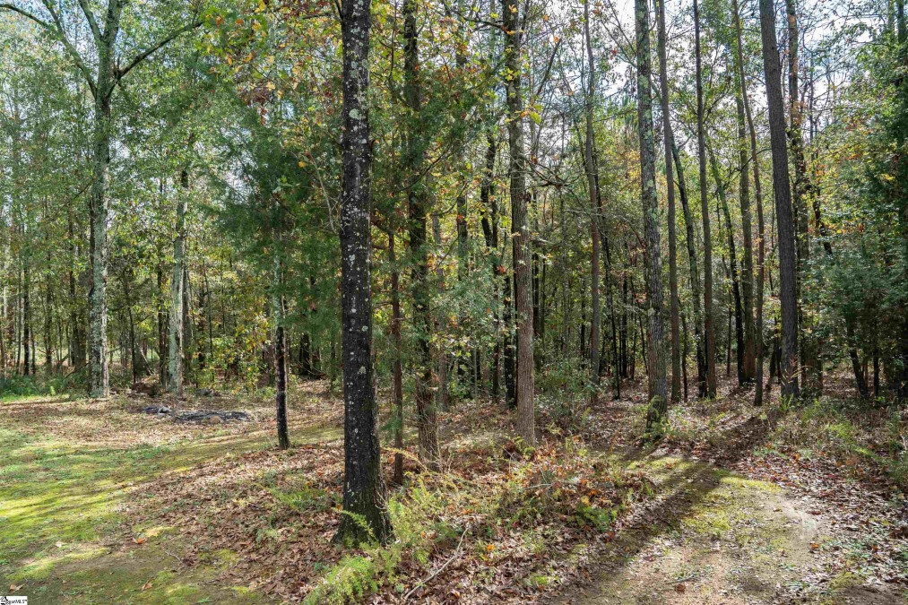 222 Plantation Grv Roebuck, SC 29376-3643