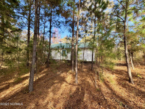 21081 Why Not Rd Laurel Hill, NC 28351