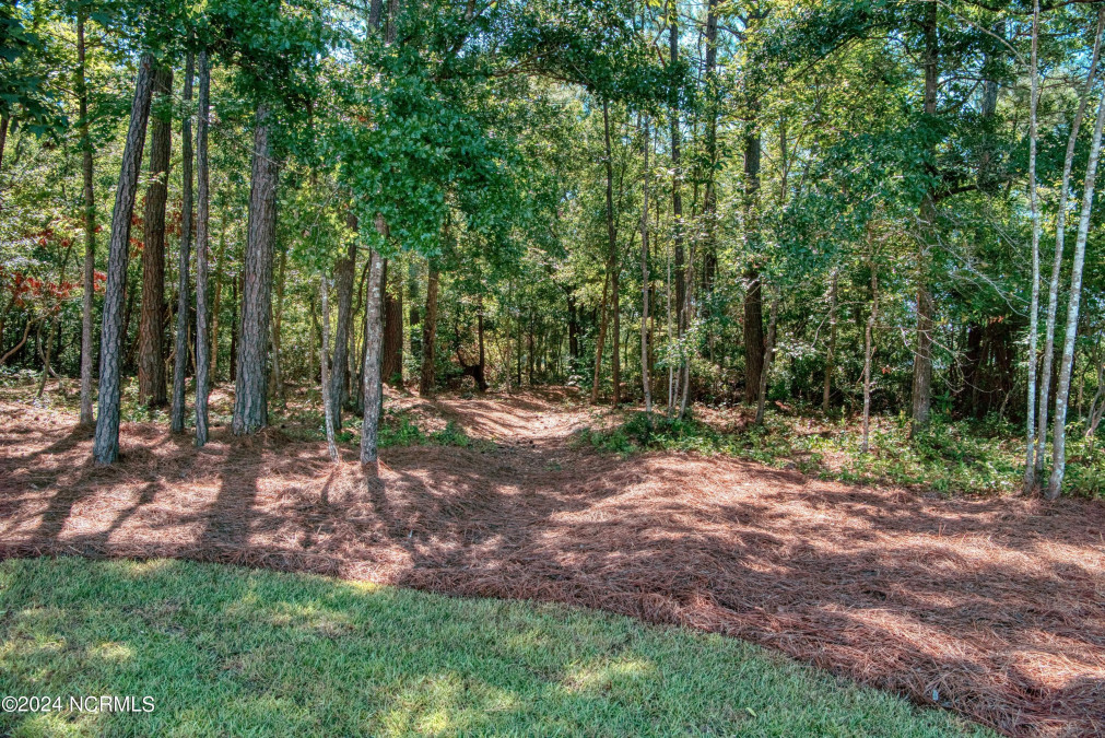 405 Whistling Heron Way Swansboro, NC 28584