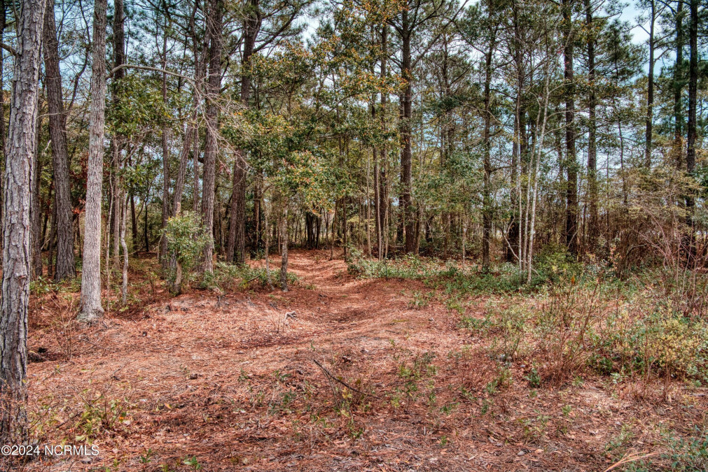 405 Whistling Heron Way Swansboro, NC 28584