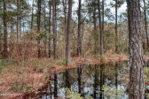 405 Whistling Heron Way Swansboro, NC 28584