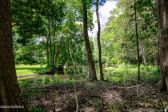 306 Woodland Dr Jacksonville, NC 28540