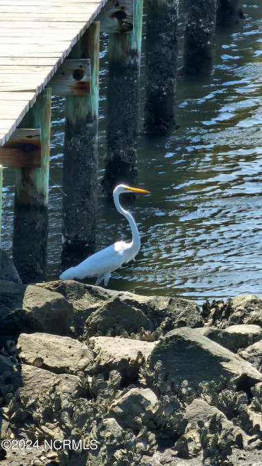 310 Harbor Point Rd Beaufort, NC 28516