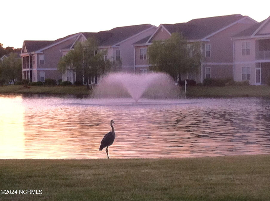 900 Great Egret Cir Sunset Beach, NC 28468