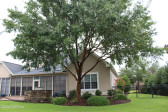 1407 Gantry Ct Leland, NC 28451