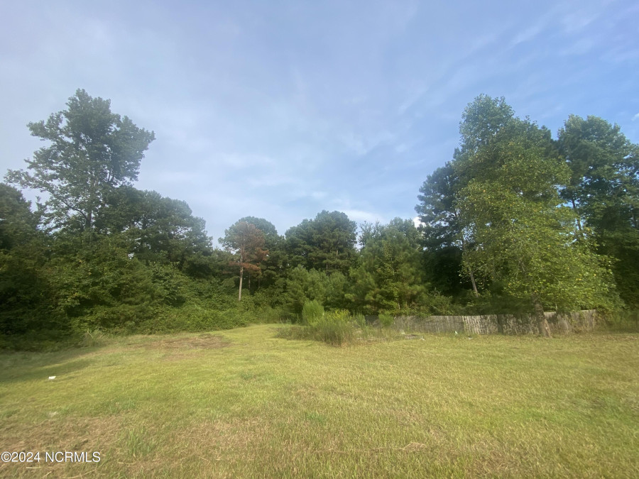 220 Boardwalk Dr Rowland, NC 28383