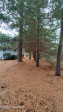 114 Sandy Ridge Rd West End, NC 27376