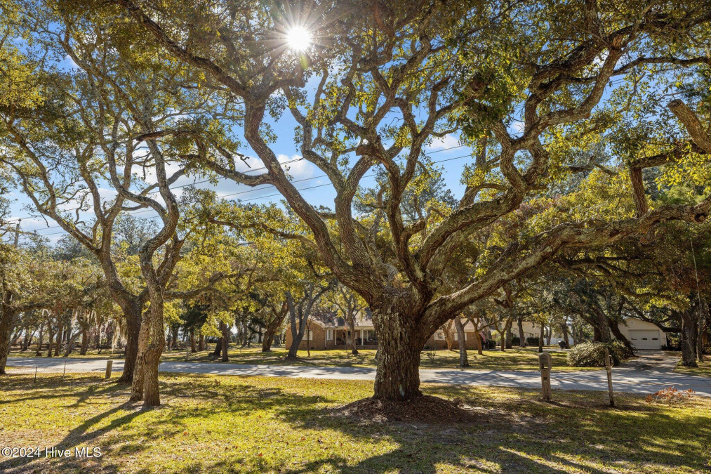 475 Island Rd Harkers Island, NC 28531