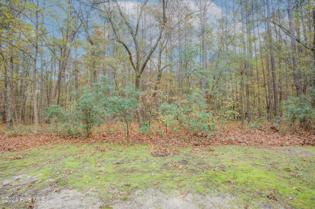 681 Riverbirch Dr Vass, NC 28394