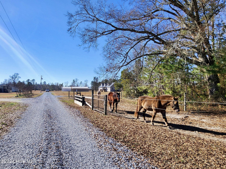 154 Briar Patch Ln Trenton, NC 28585