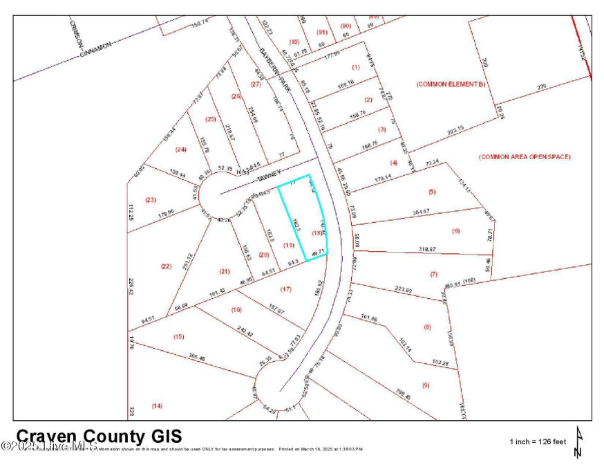 1001 Tawney Tc New Bern, NC 28562