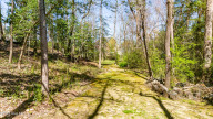 4428 Rivershore Dr New Bern, NC 28560