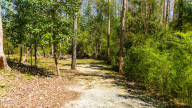 4428 Rivershore Dr New Bern, NC 28560