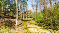 4428 Rivershore Dr New Bern, NC 28560