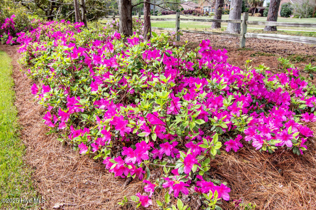 511 Pine Valley Dr Morehead City, NC 28557
