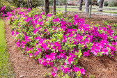 511 Pine Valley Dr Morehead City, NC 28557