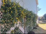 107 25th St Oak Island, NC 28465