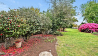 416 Front St Wilmington, NC 28401