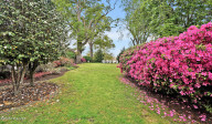 416 Front St Wilmington, NC 28401
