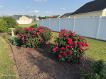4332 Bristlecone Dr Ayden, NC 28513