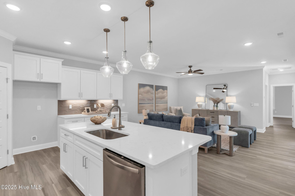 3159 Painted Turtle Loop Wilmington, NC 28409