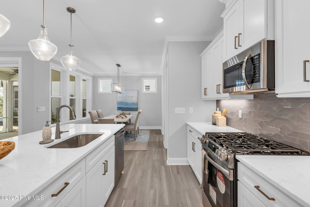 3159 Painted Turtle Loop Wilmington, NC 28409