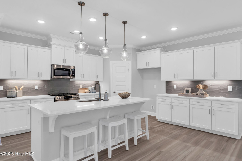 3159 Painted Turtle Loop Wilmington, NC 28409