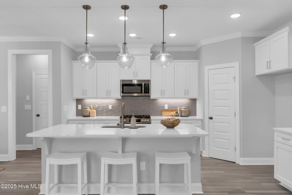 3159 Painted Turtle Loop Wilmington, NC 28409