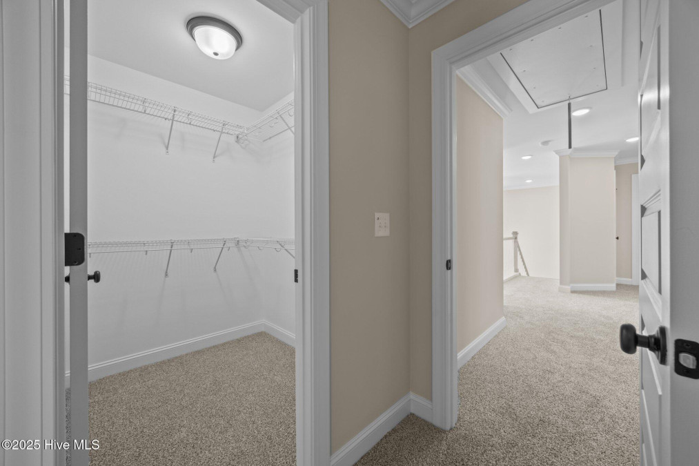 312 Oleander Dr Greenville, NC 27858