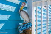 154 Sand Dollar St Holden Beach, NC 28462